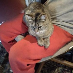 Meet your Posher, Angie